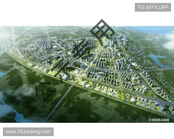 NG体育的国际化发展：全球视野下的运动新趋势